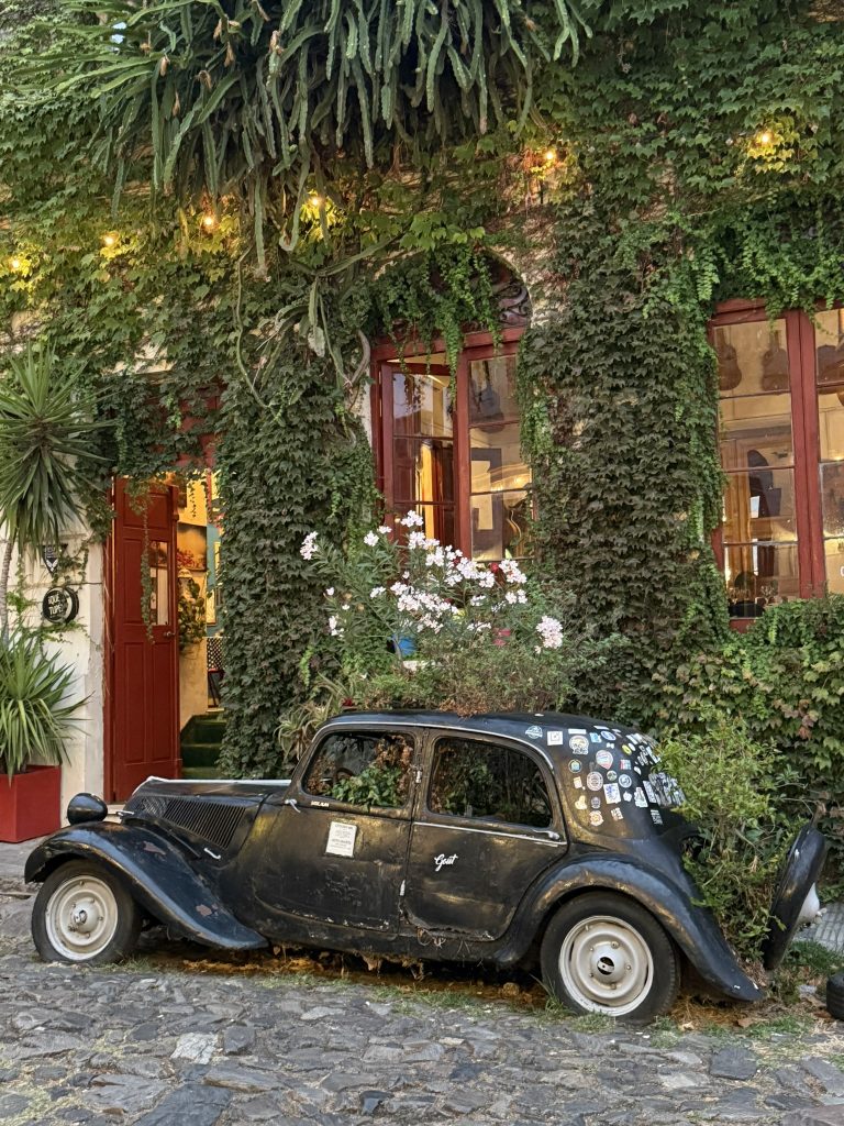 COLONIA HISTÓRICA & SABORES LOCAIS